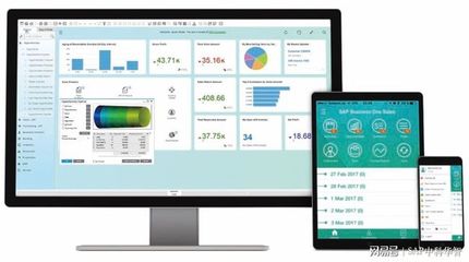 中科華智SAP B1 ERP 食品行業(yè)信息化解決方案