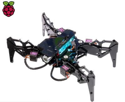 挑戰(zhàn)樹莓派 RISC-V 微型計(jì)算機(jī) PicoRio 發(fā)布與計(jì)算機(jī)軟硬件技術(shù)開發(fā)前瞻