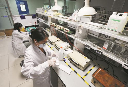 以嶺藥業(yè) 科技賦能，引領(lǐng)中藥現(xiàn)代化新篇章